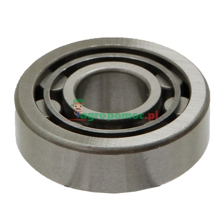  Cylindrical roller bearing